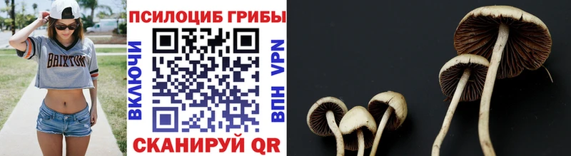 Галлюциногенные грибы прущие грибы  Пущино 